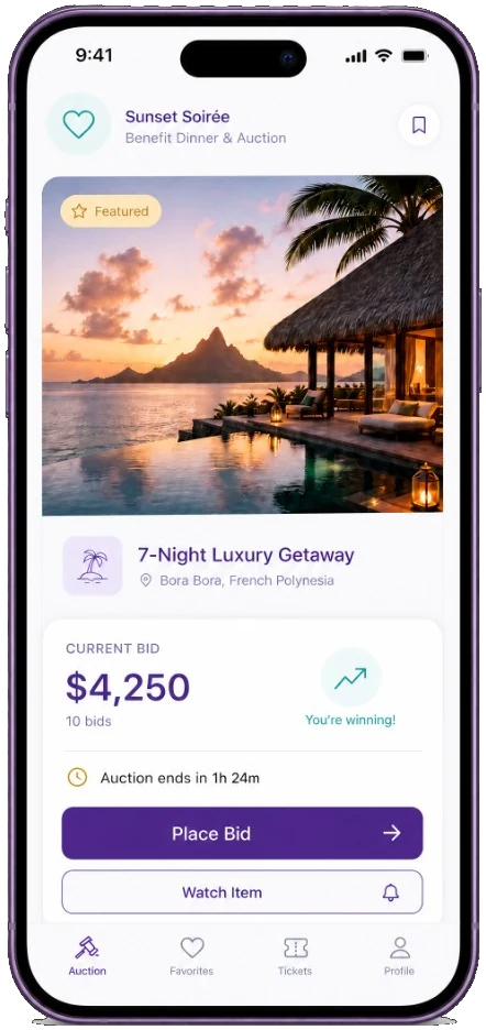 Mobile charity auction bidding interface