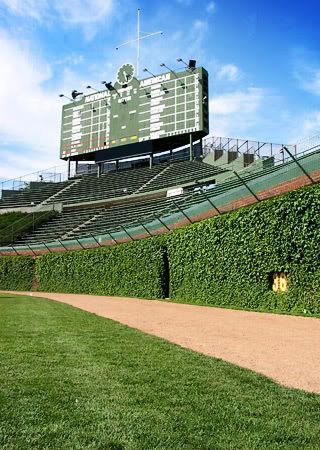Iconic ivy wall at Wrigley Field